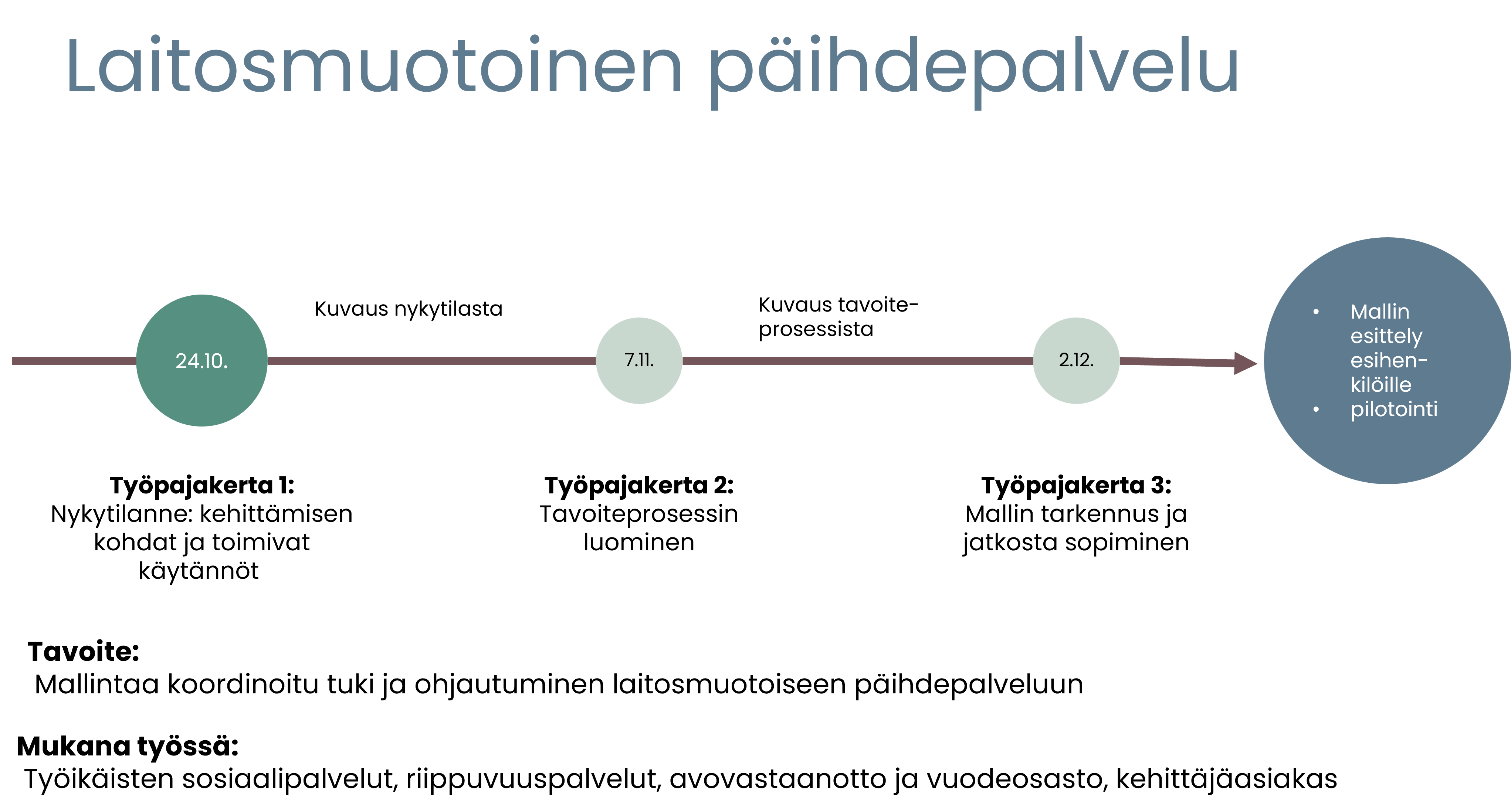 Syksyn 2024 työpajat aikajanalla, joissa mallinnetaan ammattilaisten ja kehittäjäasiakkaiden kanssa tukea ja koordinointia asiakkaiden ohjaamiseksi laitosmuotoiseen päihdepalveluun.