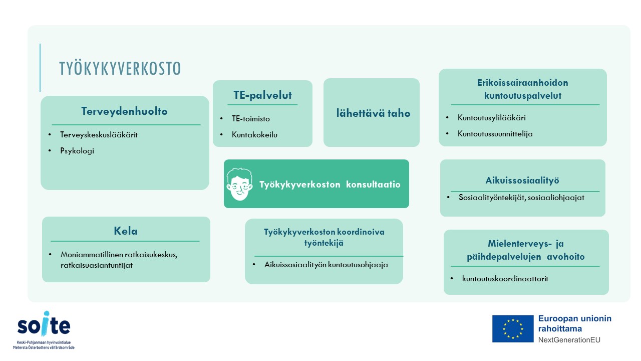 Kuvio Työkykyverkostossa toimivista ammattilaistahoista