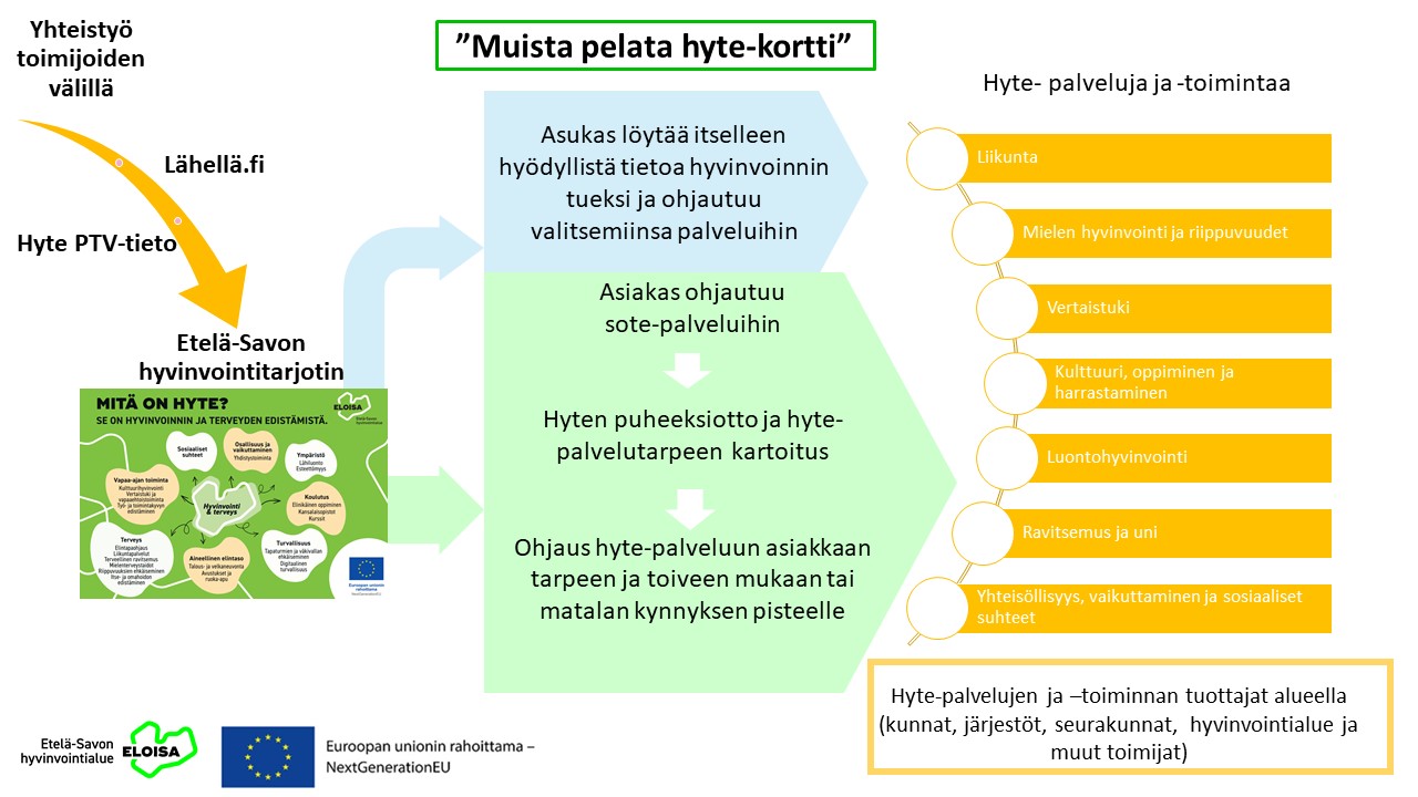 Etelä-Savon hyte-palvelukonseptin yleiskuvaus 