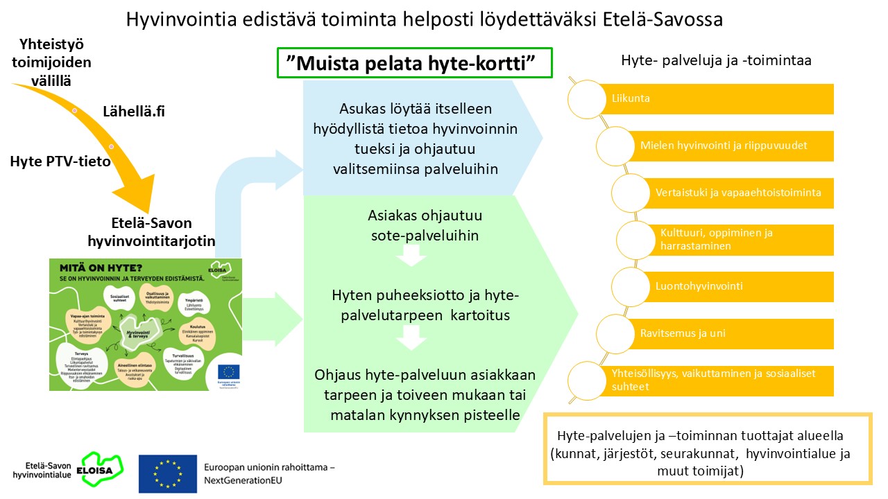 Etelä-Savon hyte-palvelukonseptin yleiskuvaus 