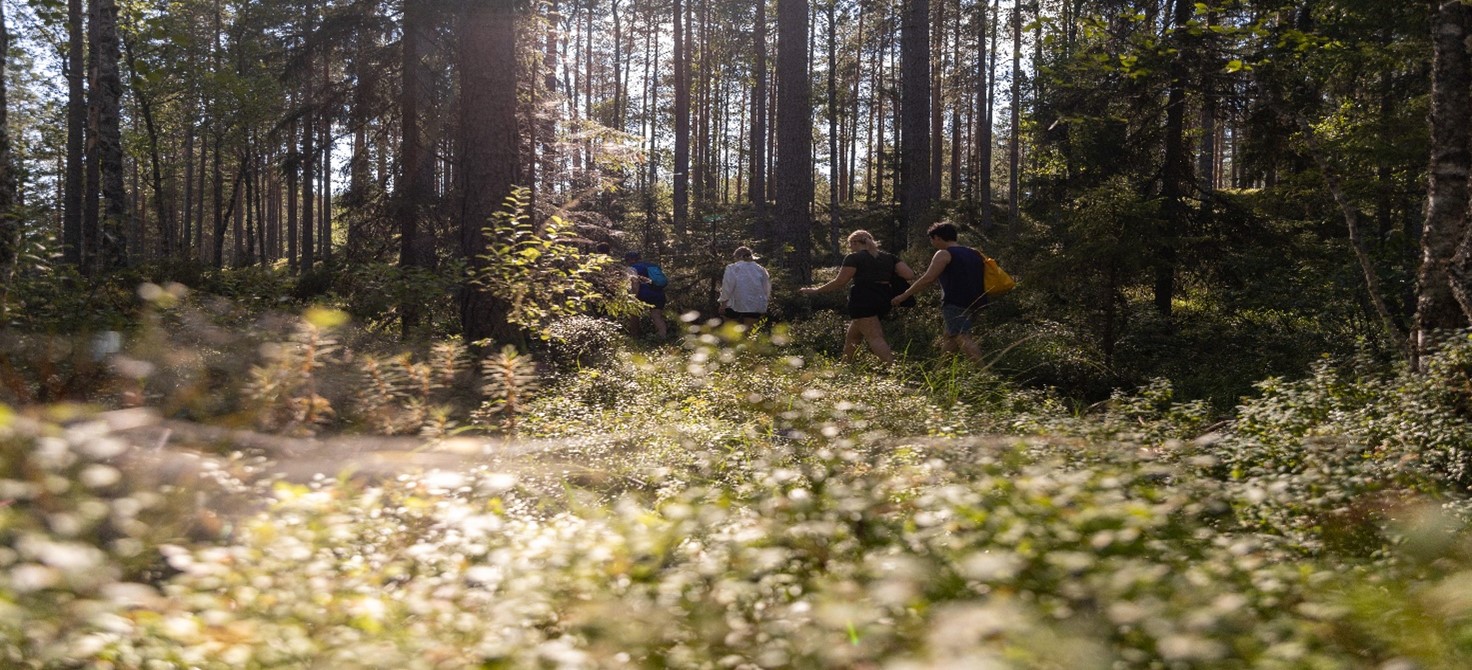 https://www.rautavaara.fi/tyotajahyvinvointia/
