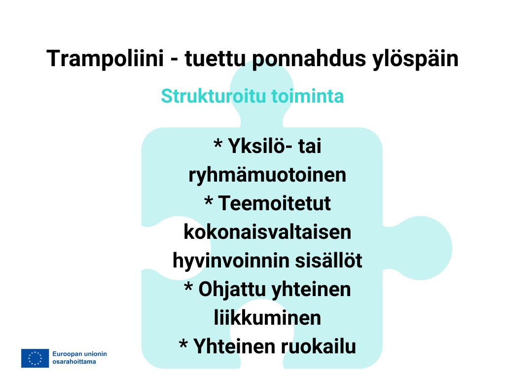 Strukturoitu toiminta