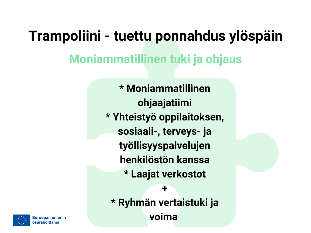 Moniammatillinen tuki ja ohjaus