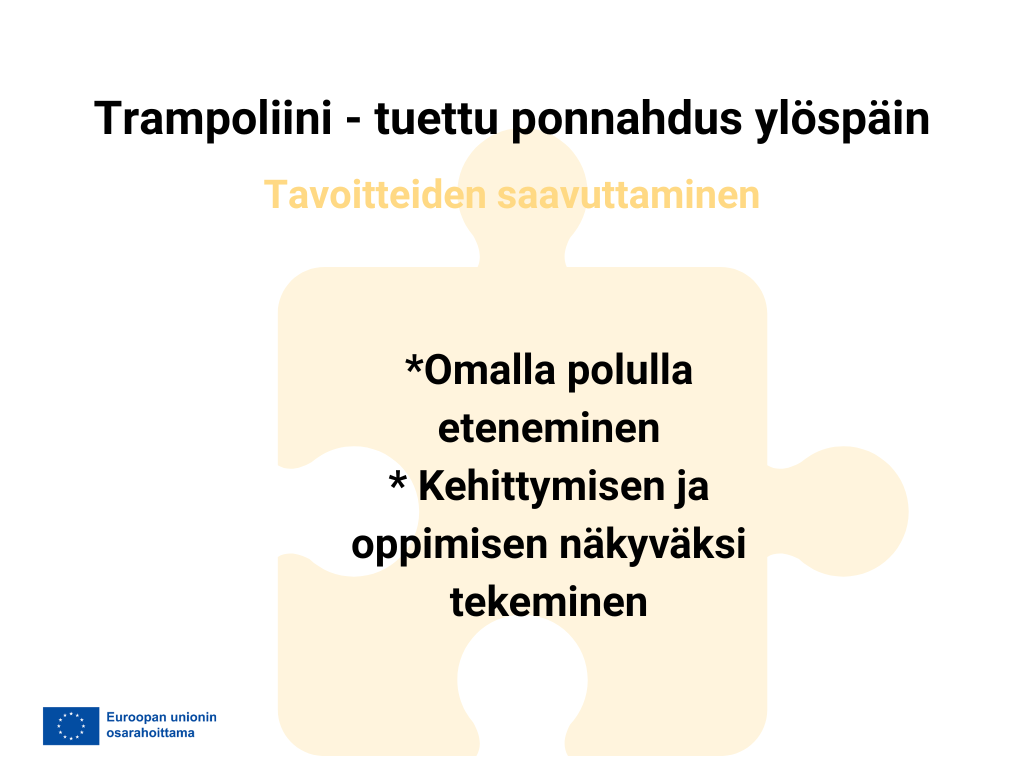 Tavoitteiden saavuttaminen