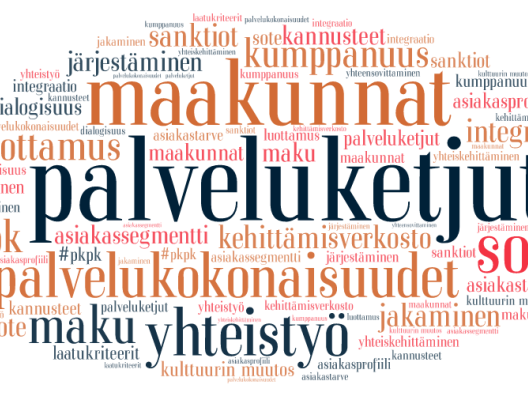 Palveluketjut - ja kokonaisuudet verkosto