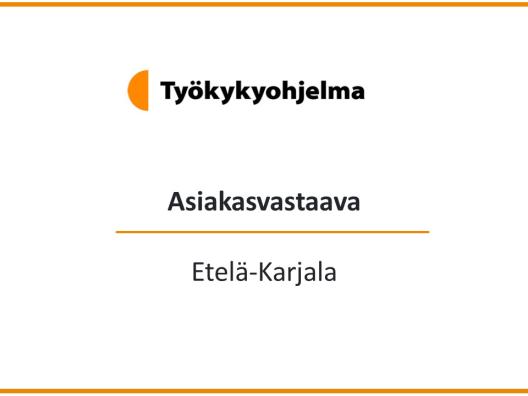 Kansikuva, jossa teksti Asiakasvastaava Etelä-Karjala