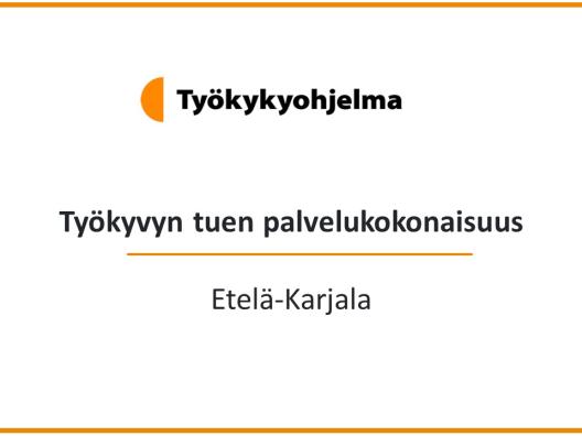 Kansikuva, jossa teksti Työkyvyn tuen palvelukokonaisuus