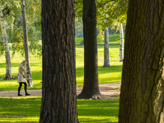 Henkilö kävelee vehreässä puistossa. Symboloi Hyvän mielen kuntaa.