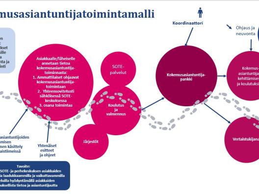 Kuva_kokemusasiantuntijatoimintamalli