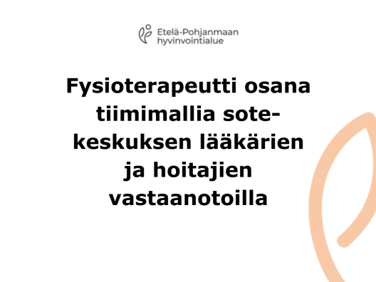 Fysioterapeutti osana vastaanottotiimiä kuva