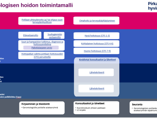 Gerontologisen hoidon toimintamalli Pirkanmaan hyvinvointialueella