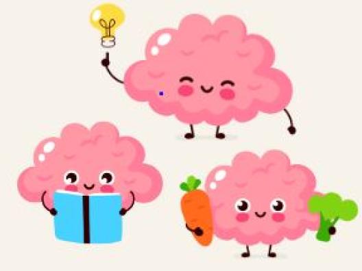 Kolme piirrosta aivoista, joilla on hymyilevät kasvot yhdellä kirja käsissä, toisella lamppu ja kolmannella porkkana ja salaatti. 