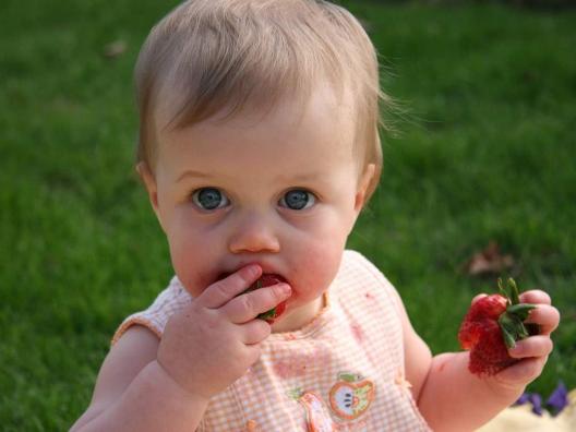 Pieni lapsi syö mansikkaa