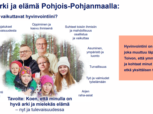 Hyvinvointikäsitys Pohde