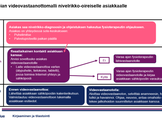 Fysioterapian mallikuvaus videovastaanotolle ohjautumisesta 