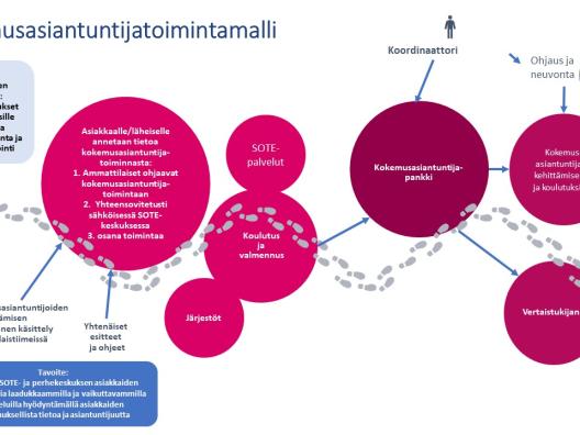 Kokemusasiantuntijatoimintamalli kokonaisuudessaan.