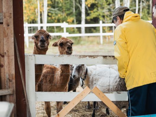 Ikääntyneiden sosiaalisen kuntoutuksen toimintaa