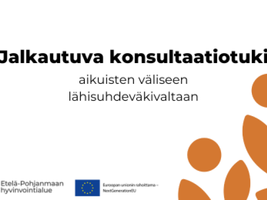 Jalkautuva konsultaatiotuki aikuisten väliseen lähisuhdeväkivaltaan