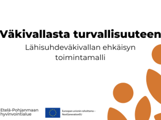 Väkivallasta turvallisuuteen - Lähisuhdeväkivallan ehkäisyn toimintamalli