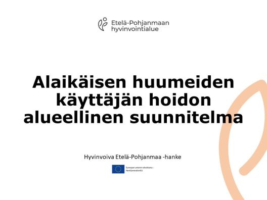 Alaikäisen huumeiden käyttäjän hoidon alueellinen suunnitelma