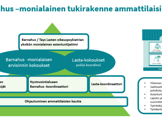 Barnahus -monialainen tukirakenne ammattilaisille