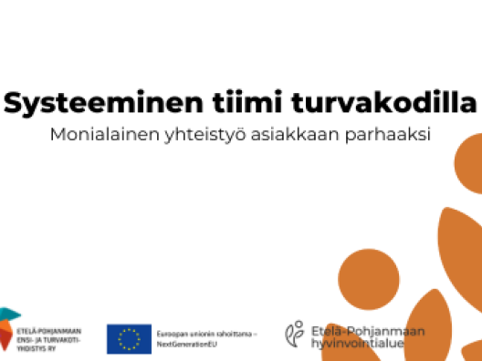 Systeeminen tiimi turvakodilla - Monialainen yhteistyö asiakkaan parhaaksi