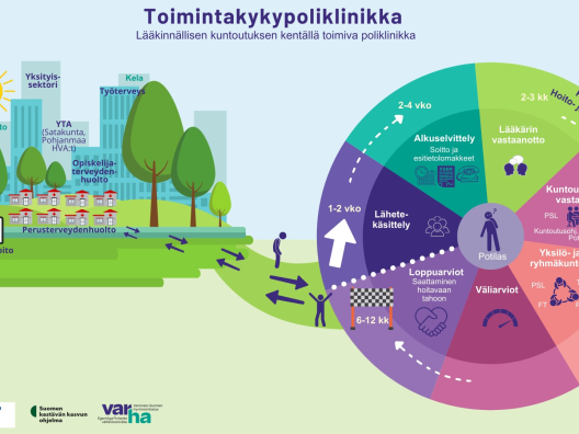 Toimintakykypoliklinikan prosessi