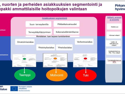 Lasten, nuorten ja perheiden asiakkuuksien segmentointi suun terveydenhuollossa ja työkalut hoitopolkujen valintaan