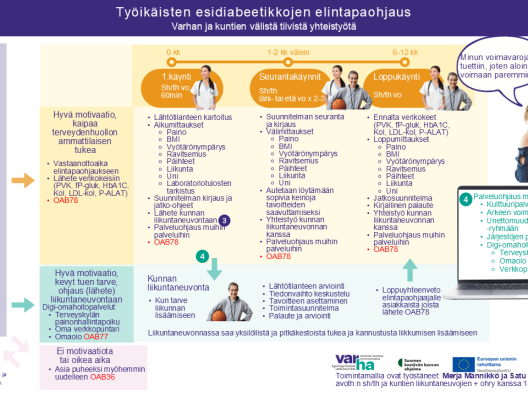 Elintapaohjaus-liikuntaneuvonnan toimintamallin kuvaus