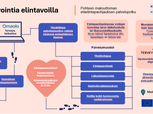 Työikäisten elintapaohjauksen toimintamalli