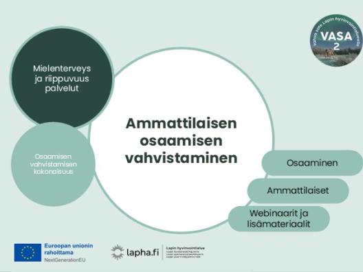 Ammattilaisen osaamisen vahvistaminen