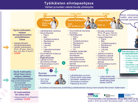 Varhan elintapaohjaus-liikuntaneuvonnan toimintamallin kuvaus