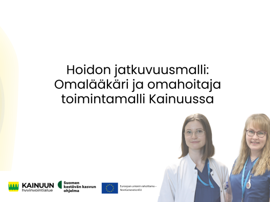 Hoidon jatkuvuusmalli