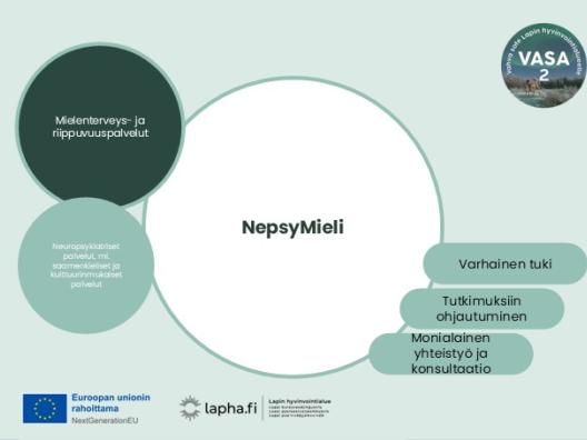 NepsyMieli, Innokylä VASA 2- kansikuva