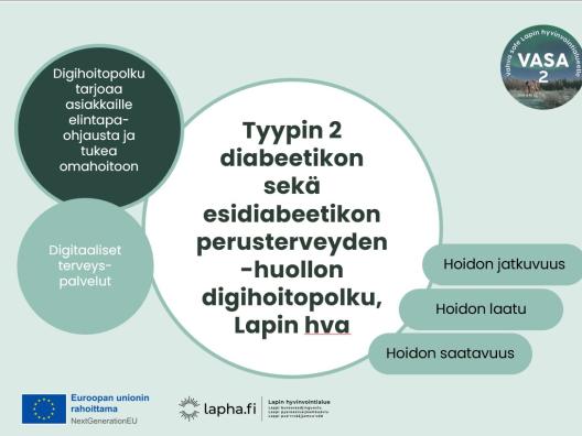 Tyypin 2 diabetes digihoitopolku