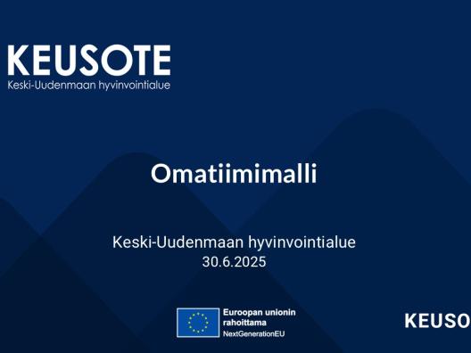 Omatiimimalli
