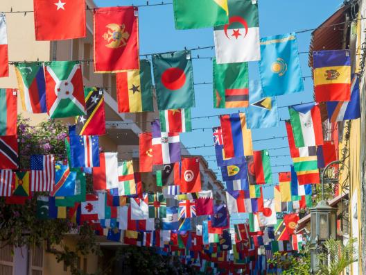 Luis Desiro / Unsplash /Flags