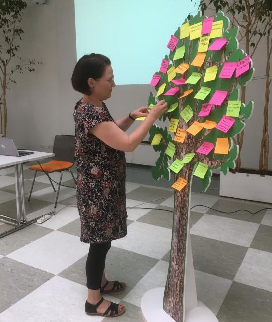 Development tree in Mikkeli 2018 