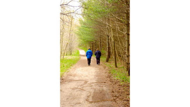 kaksi ihmistä kävelee metsässä