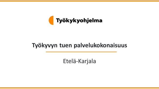 Kansikuva, jossa teksti Työkyvyn tuen palvelukokonaisuus