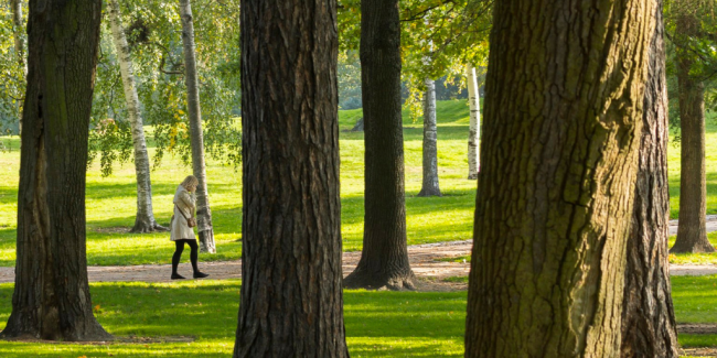 Henkilö kävelee vehreässä puistossa. Symboloi Hyvän mielen kuntaa.