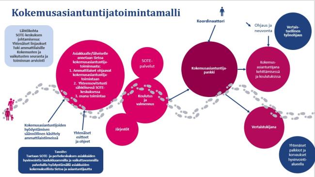 Kuva_kokemusasiantuntijatoimintamalli