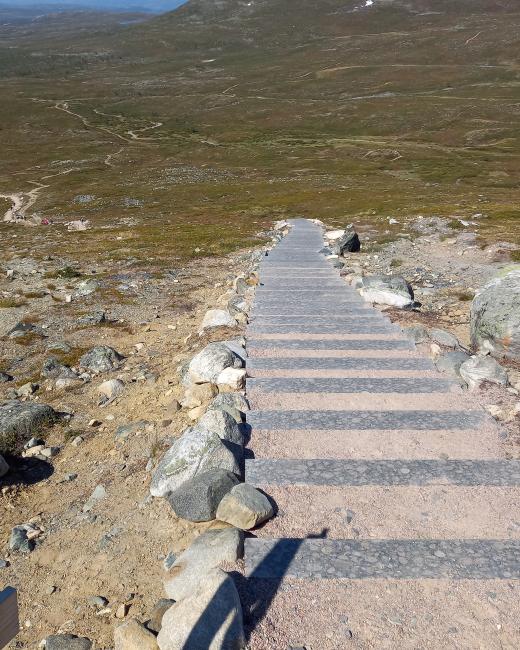 Asiakaslähtöisen hoito- ja palvelupolun geneerinen malli