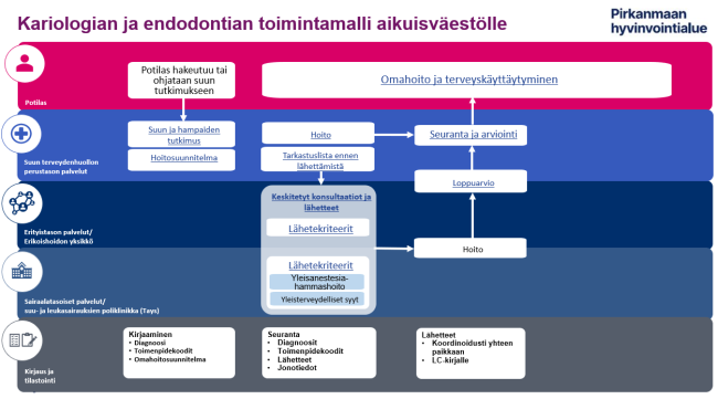 Kariologian ja endodontian toimintamalli Pirkanmaan hyvinvointialueella