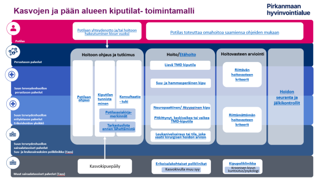 Kasvojen ja pään alueen kiputilat- toimintamalli Pirkanmaan hyvinvointialueella