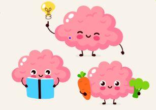 Kolme piirrosta aivoista, joilla on hymyilevät kasvot yhdellä kirja käsissä, toisella lamppu ja kolmannella porkkana ja salaatti. 