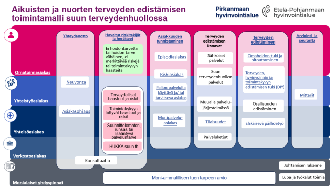 Aikuisten ja nuorten terveyden edistämisen toimintamalli suun terveydenhuollossa