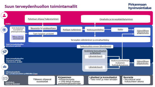 Suun terveydenhuollon toimintamallit