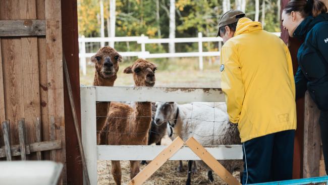 Ikääntyneiden sosiaalisen kuntoutuksen toimintaa