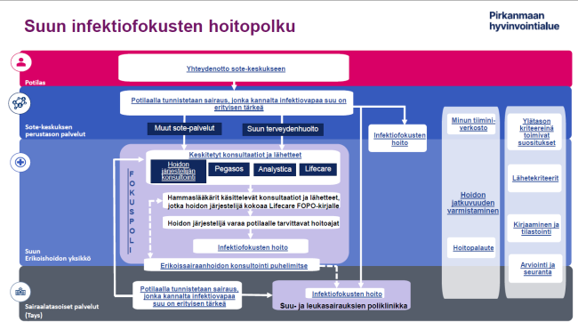 Suun infektiofokussaneerauksen hoitopolku